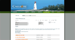 Desktop Screenshot of careers.callieregroup.com